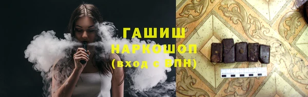 гашик Алексин
