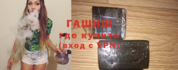 гашик Алексин