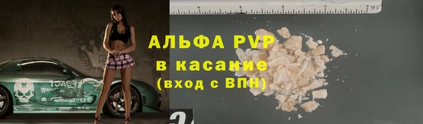 гашик Алексин