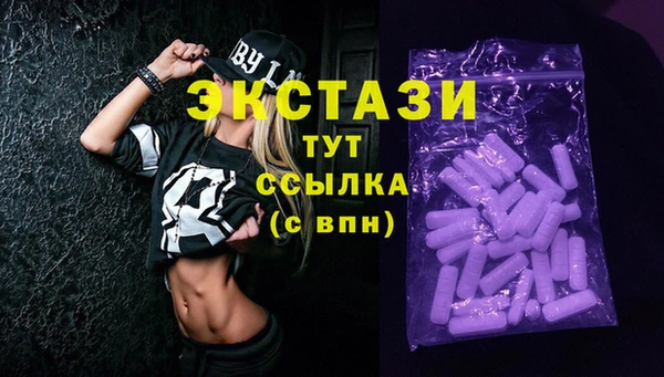 гашик Алексин