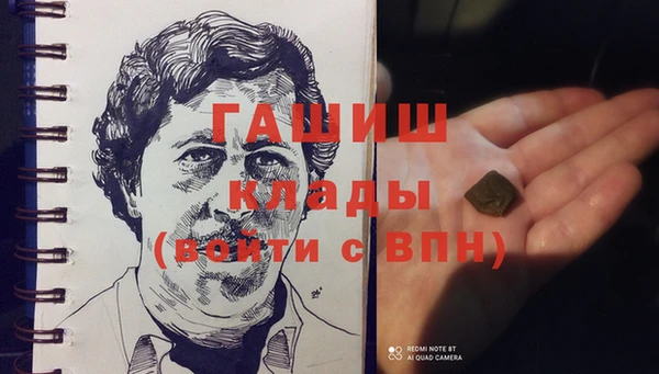 гашик Алексин