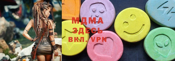 гашик Алексин