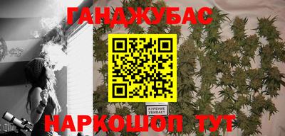 стаф Камышлов