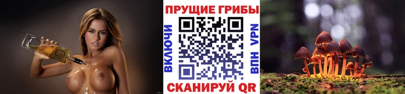 Галлюциногенные грибы Cubensis  Красногорск 